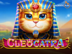 Super cat casino giriş. Casino plan.34